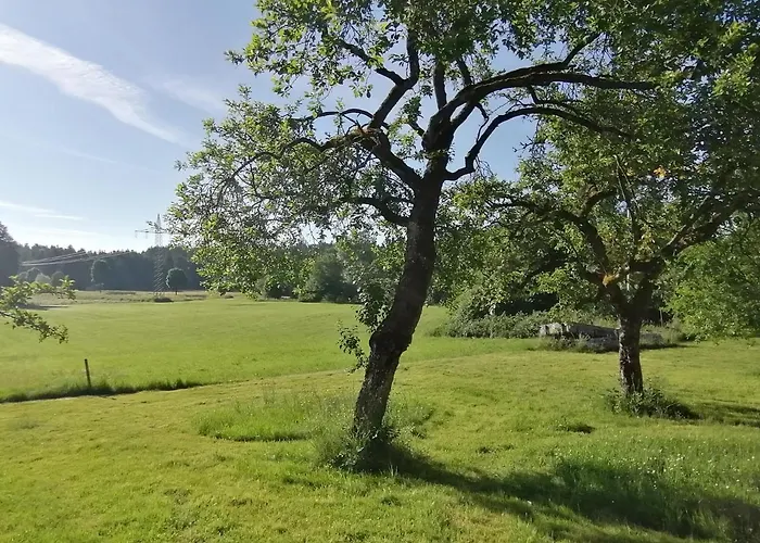 Lejlighed Marxhof Seebruck Am Chiemsee *