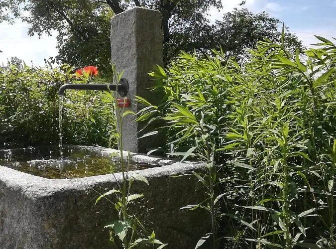 Marxhof Seebruck Am Chiemsee Lejlighed Seeon-Seebruck