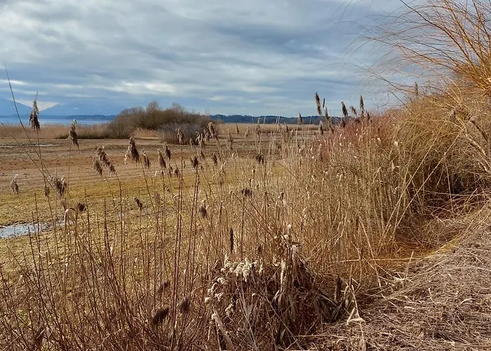 Lejlighed Marxhof Seebruck Am Chiemsee *